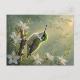 First Light Kin Hummingbird Postcard Postkarte