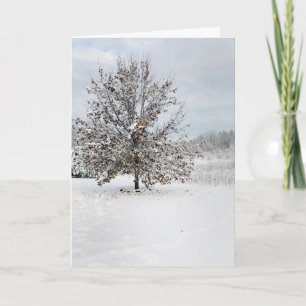 First Snow Blank Note Card Karte
