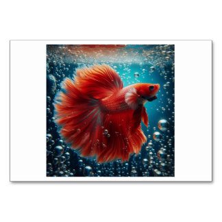 Fisch (물 고 기) - Koreanische Flash Cards Tischnummer