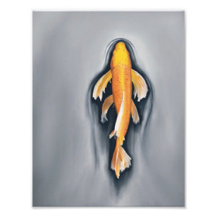 Fisch-1 Fotodruck