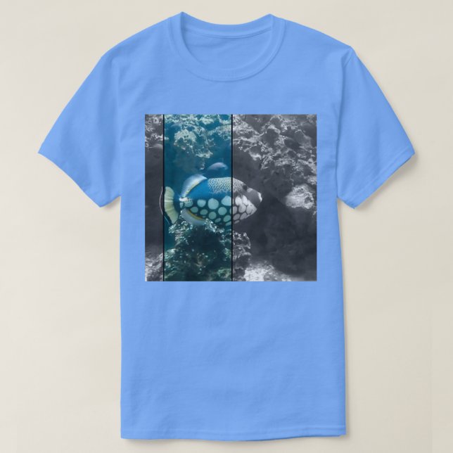 Fisch 24 T-Shirt (Design vorne)