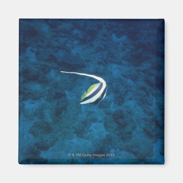 Fisch 2 magnet (Vorne)