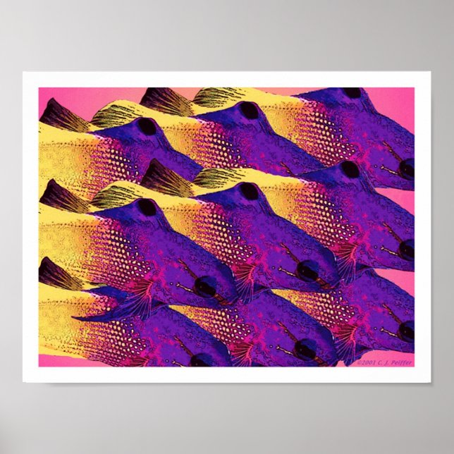 'Fisch 6.2' Poster (Vorne)