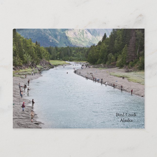 Fisch Alaska! Postkarte (Vorderseite)