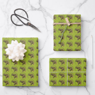 Fisch am Angel Sport Angler Geschenkpapier Set