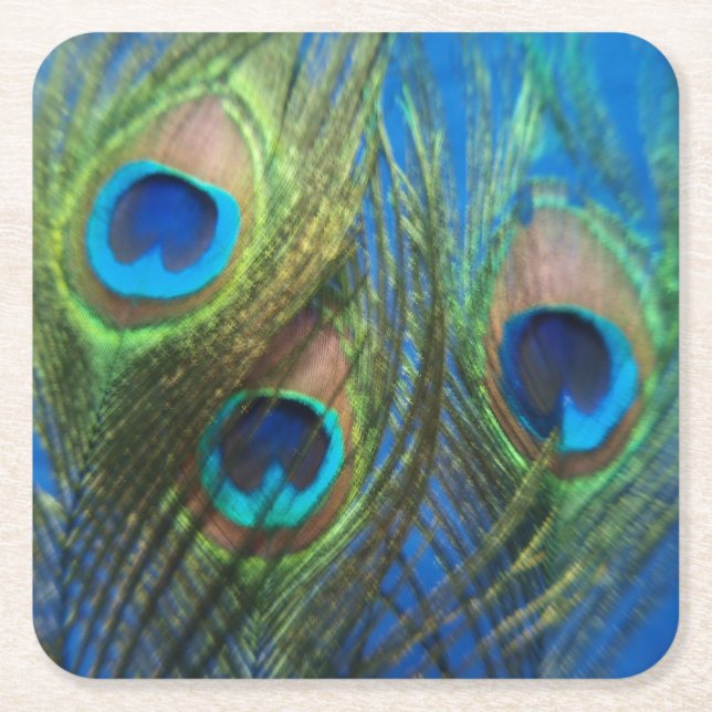 Fisch-Augen-Pfau-Stillleben Rechteckiger Pappuntersetzer (Vorderseite)
