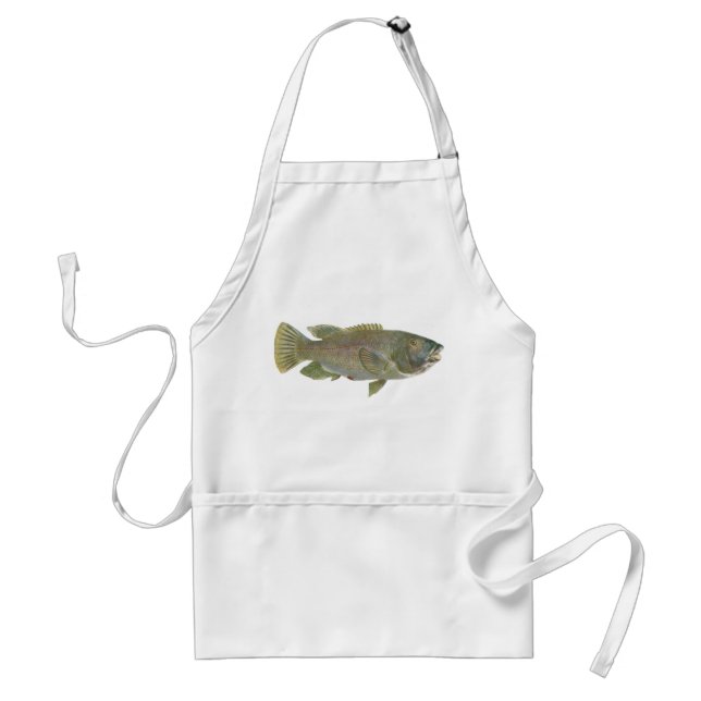 Fisch - Blauer Groper - Achoerodus gouldii Schürze (Vorne)