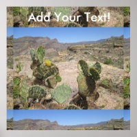 Fisch Creek Hill Vista Prickly Cactus