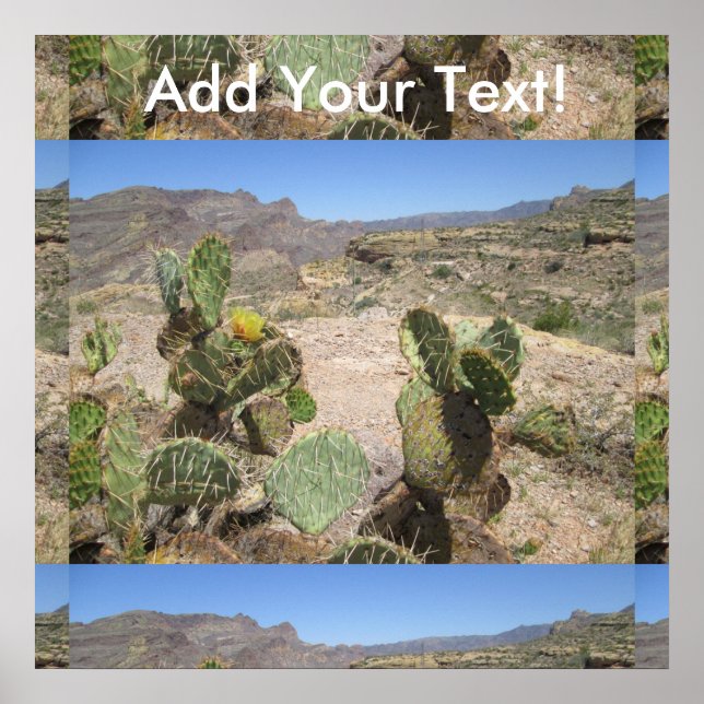 Fisch Creek Hill Vista Prickly Cactus Poster (Vorne)
