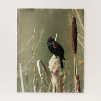 Fisch Creek Red Wing Blackbird Jigaw Puzzle
