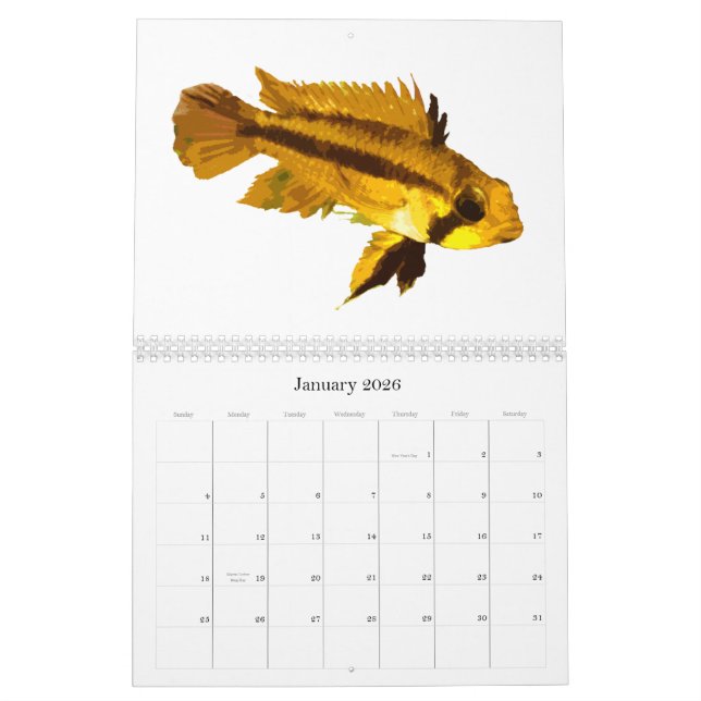Fisch der Welt 2010 Kalender (Jan 2026)