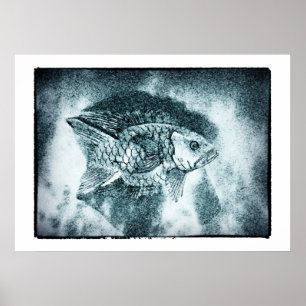 Fisch - Digi & Foto Tintenkunst (Poster) Poster