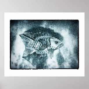 Fisch - digi & photo Tinten-Kunst (Poster) Poster