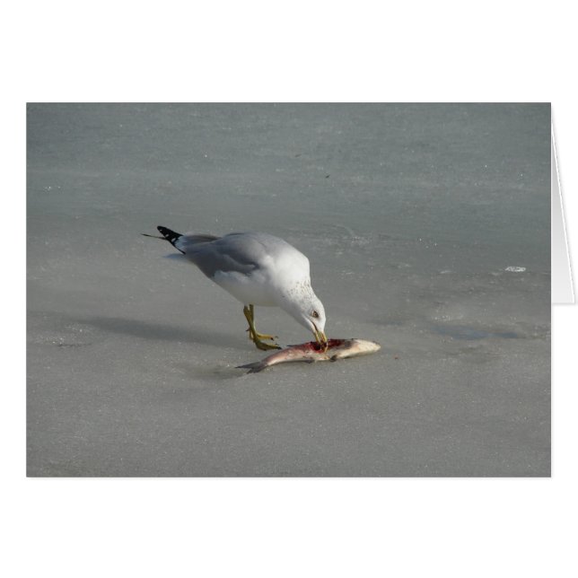 Fisch essen (Vorderseite (Horizontal))