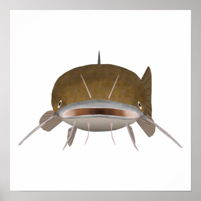 Fisch, flach, Kopf Poster (Vorne)