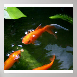 FISCH-GESCHICHTEN   POSTER