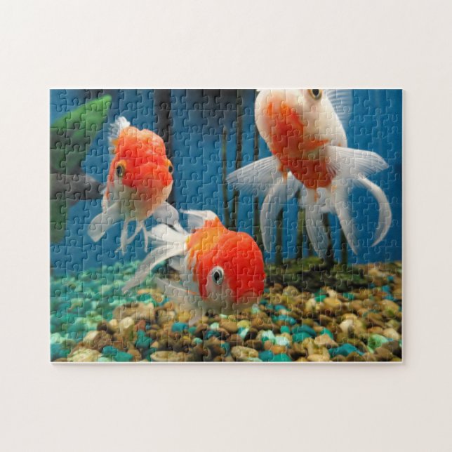 Fisch-Geschichten Puzzle (Horizontal)