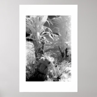 Fisch im Garten von Eden Poster