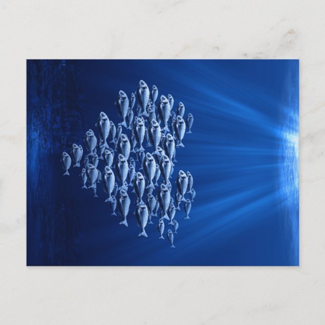 Fisch im Herzen des Wassers Postkarte (Vorderseite)
