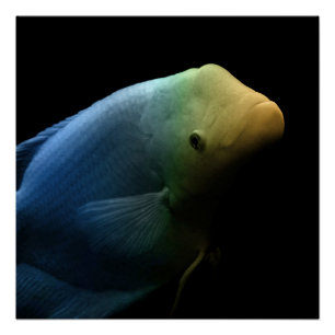Fisch im Tank - Kunstfotografie Poster