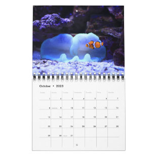 Fisch Kalender