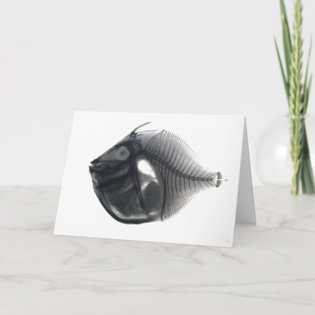 Fisch Karte (Vorderseite)