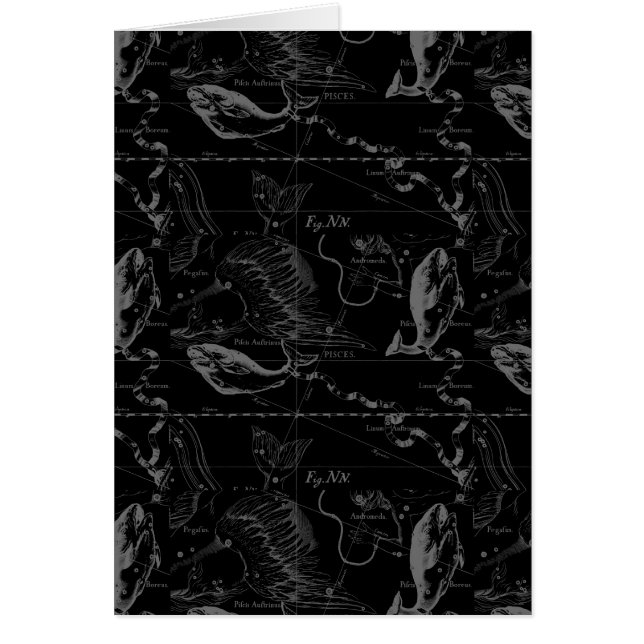 Fisch-Konstellations-Karte durch Hevelius 1690 (Vorne)