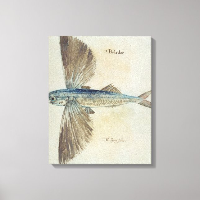 Fisch Leinwanddruck (Vorderseite)