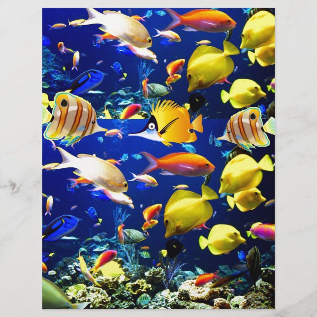 Fisch Meer Flyer (Vorne)