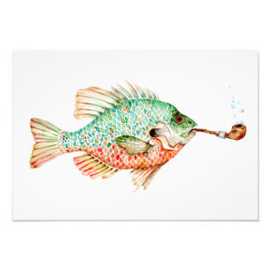 Fisch mit einem Stück Fotodruck