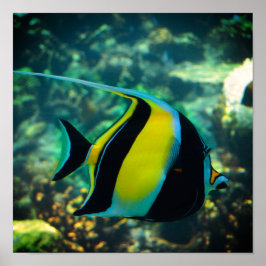 Fisch mit langer Faust Poster