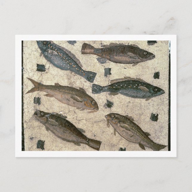 Fisch (Mosaik) Postkarte (Vorderseite)