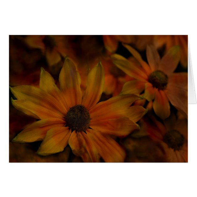 Fisch-Nebenfluss-Blüten (Vorderseite (Horizontal))