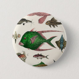 Fisch, Ozean, niedlich, Meer, Wasser, Tier, Fische Button