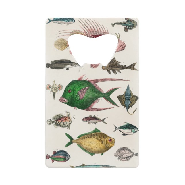 Fisch, Ozean, niedlich, Meer, Wasser, Tier, Fische Geldbeutel Flaschenöffner (Vorderseite)