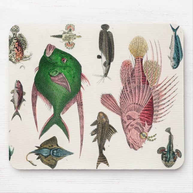 Fisch, Ozean, niedlich, Meer, Wasser, Tier, Fische Mousepad (Vorne)
