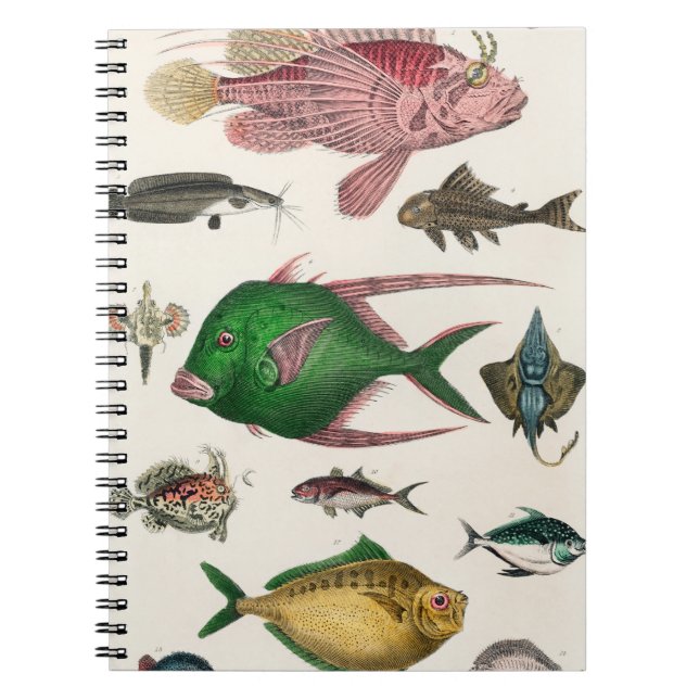 Fisch, Ozean, niedlich, Meer, Wasser, Tier, Fische Notizblock (Vorderseite)