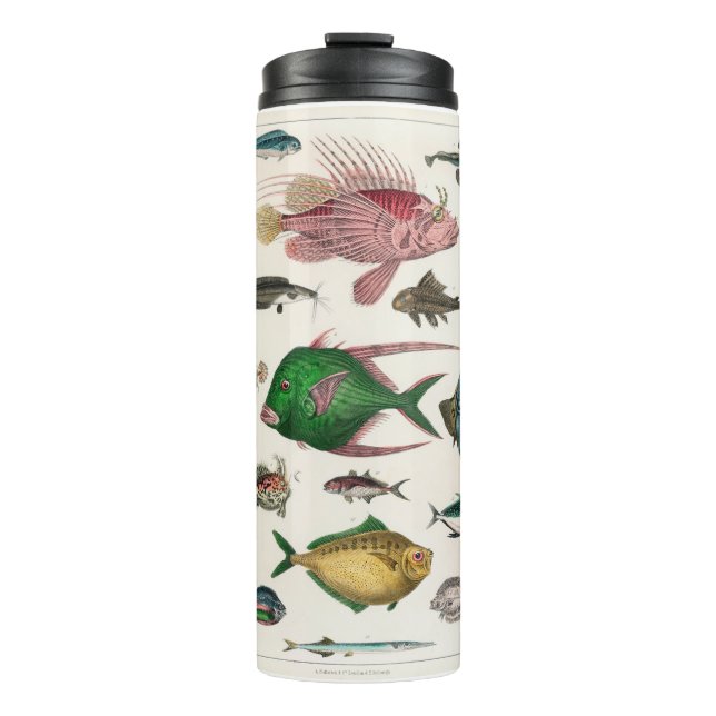 Fisch, Ozean, niedlich, Meer, Wasser, Tier, Fische Thermosbecher (Vorderseite)