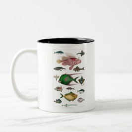 Fisch, Ozean, niedlich, Meer, Wasser, Tier, Fische Zweifarbige Tasse