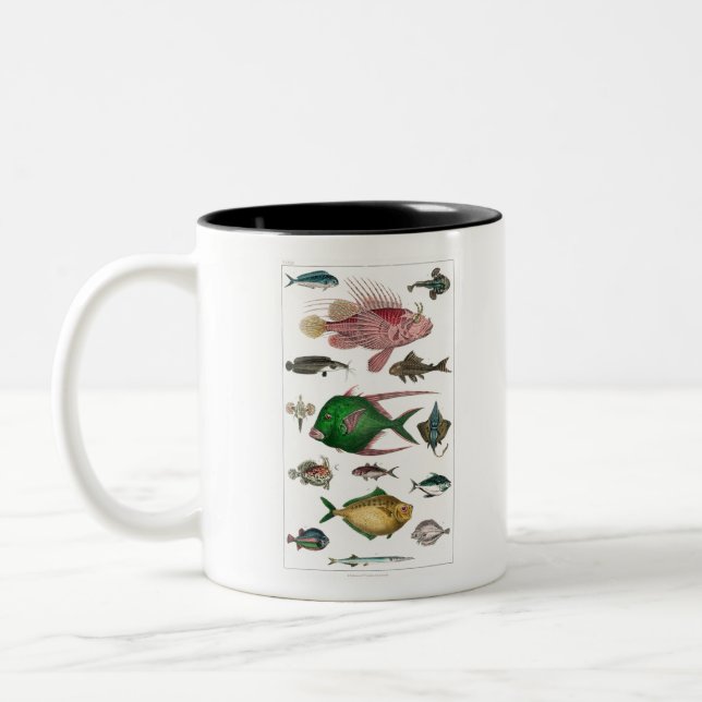 Fisch, Ozean, niedlich, Meer, Wasser, Tier, Fische Zweifarbige Tasse (Links)
