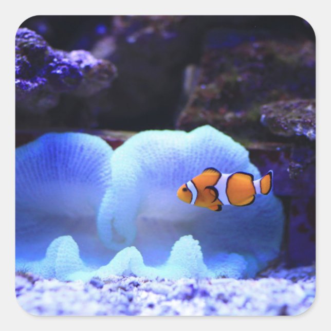 Fisch Quadratischer Aufkleber (Vorderseite)