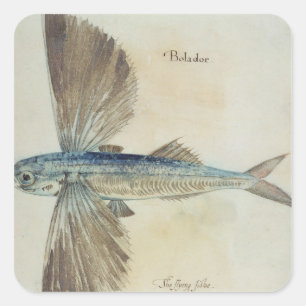 Fisch Quadratischer Aufkleber