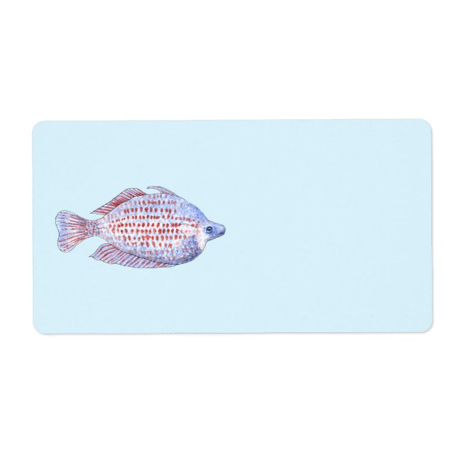 Fisch. Red Line Rainbowfish. (Vorne)