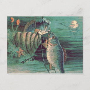 Fisch Romeo & Julia Quallen Seestern Postkarte