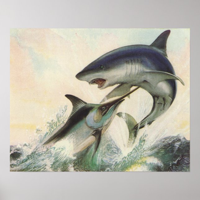 Fisch - Schwarzer Marlin und Mako Shark Poster (Vorne)