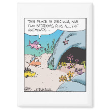 Fisch sucht Haus mit vielen Anemonen 