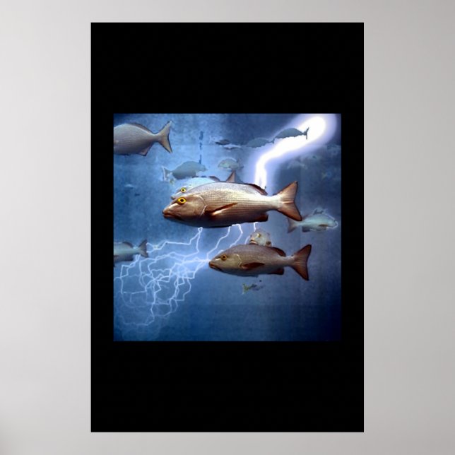 Fisch und Blitz Poster (Vorne)