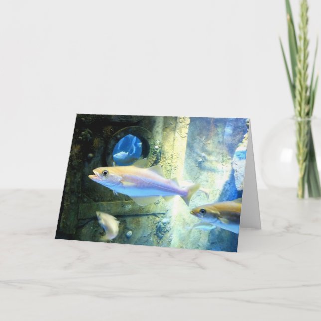 Fisch und Bulle Feiertagskarte (Vorderseite)