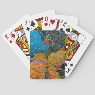 Fisch unter Korallenriff Spielkarten