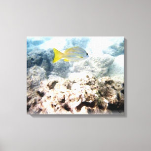 Fisch unter Wasser Leinwanddruck